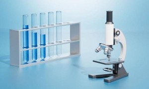 能呼吸、会试毒试药！“数字生理人”要来了